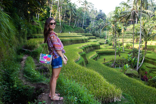 Reisterrassen Tegallalang Bali