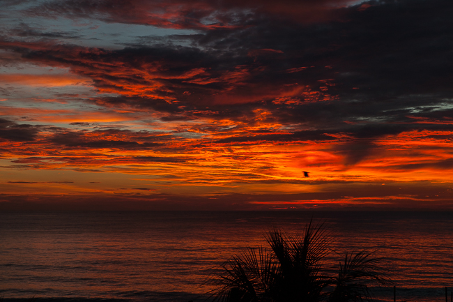 Sonnenuntergang Negombo Sri Lanka